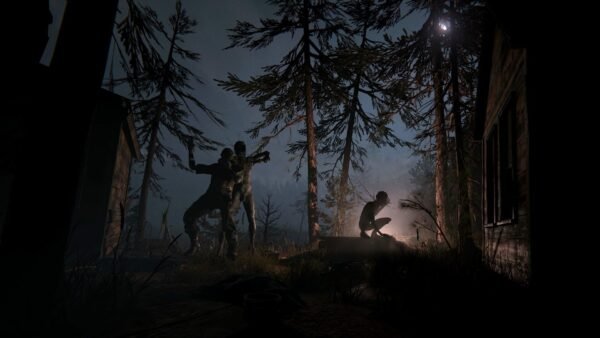 Outlast 2 Steam Key (PC) | Global | Survival Horror Game | Instant Delivery - Image 3